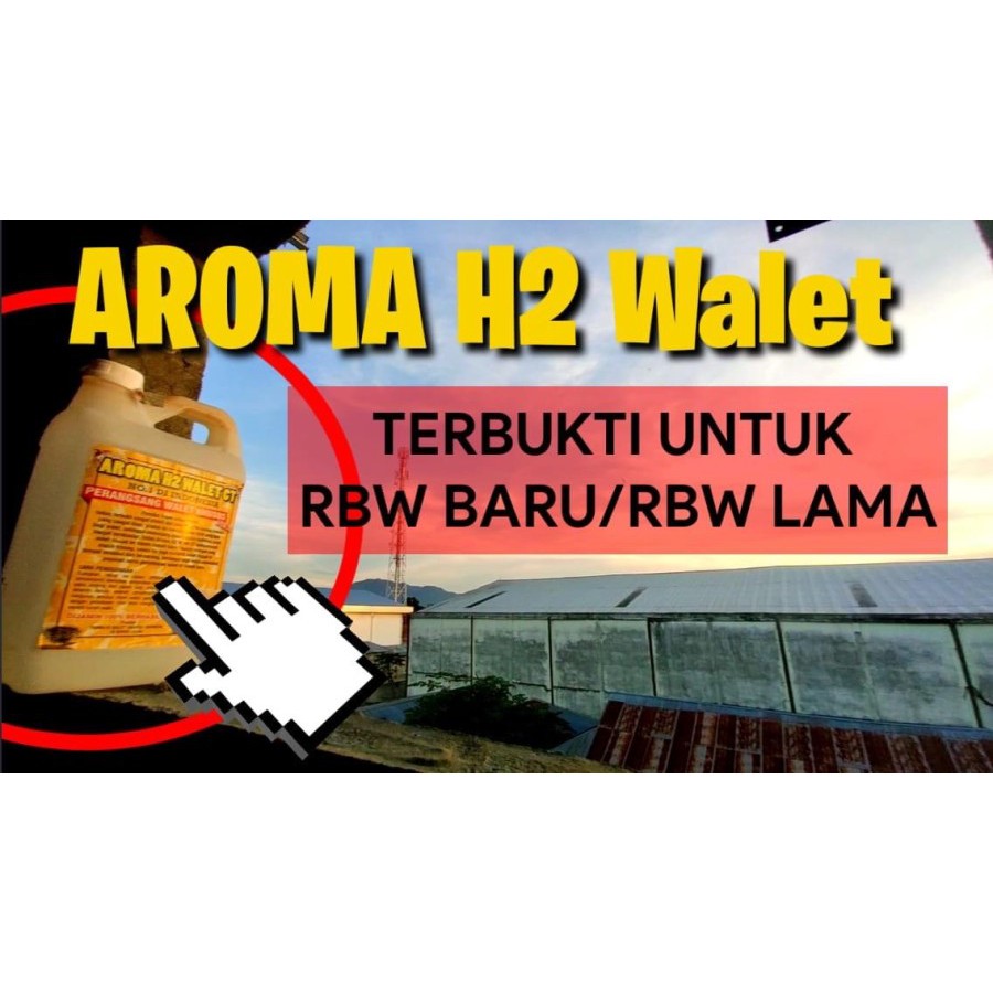 Parfum Walet Aroma H2 Dinding Aroma Pemikat Walet Perangsang Burung Walet