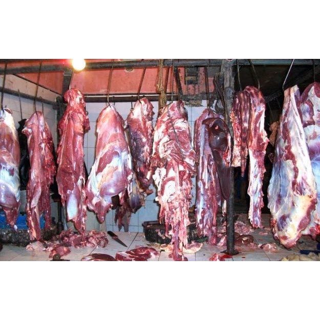 

Gajih/Tetelan Daging Kambing ( Fresh Gajih Lamb Meat )