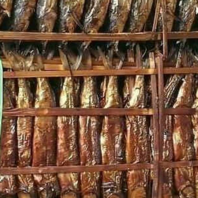 

Ikan roa