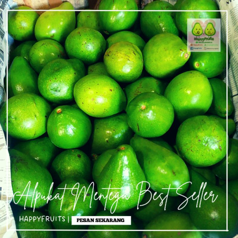 

BUAH ALPUKAT MENTEGA BEST SELLER HAPPYFRUITS 1KG