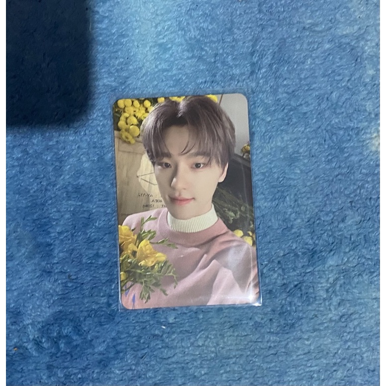 PC PHOTOCARD DINO YOUR CHOICE ONE SIDE PC PHOTOCARD DINO BUNGA KEMBANG