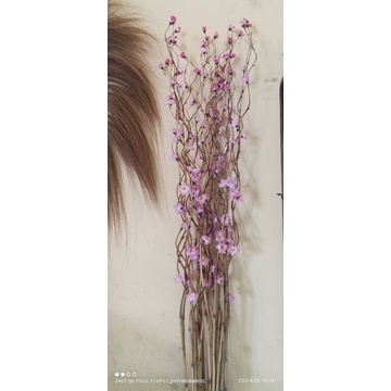 GROSIR 100 bambu ulir cendani bunga sakura