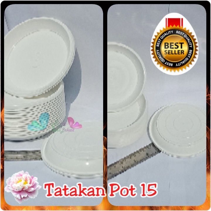GBL15 TATAKAN POT TAWON PUTIH 15 12 ALAS POT TAWON 15 12 CM PUTIH POT PIRUS TINGGI 18 TAWON