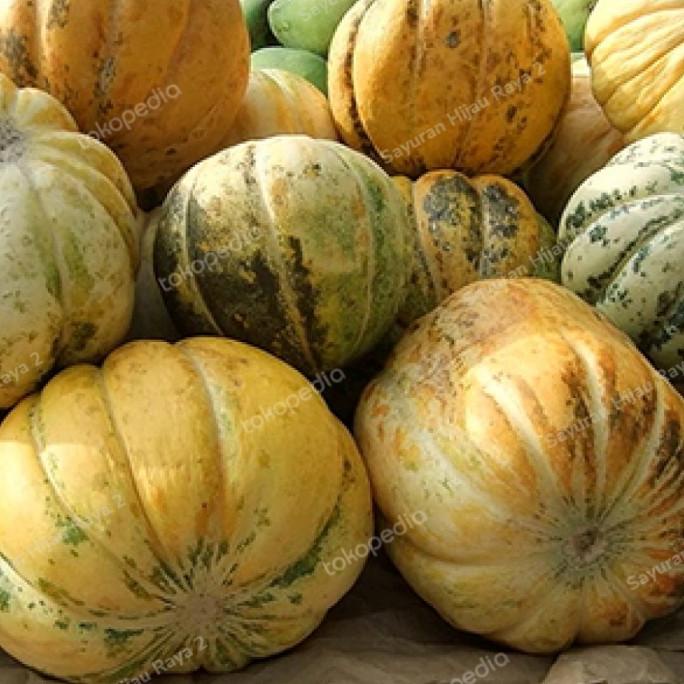 Buah Blewah Segar 1 Buah | Blewah Batu | Blewah Segar