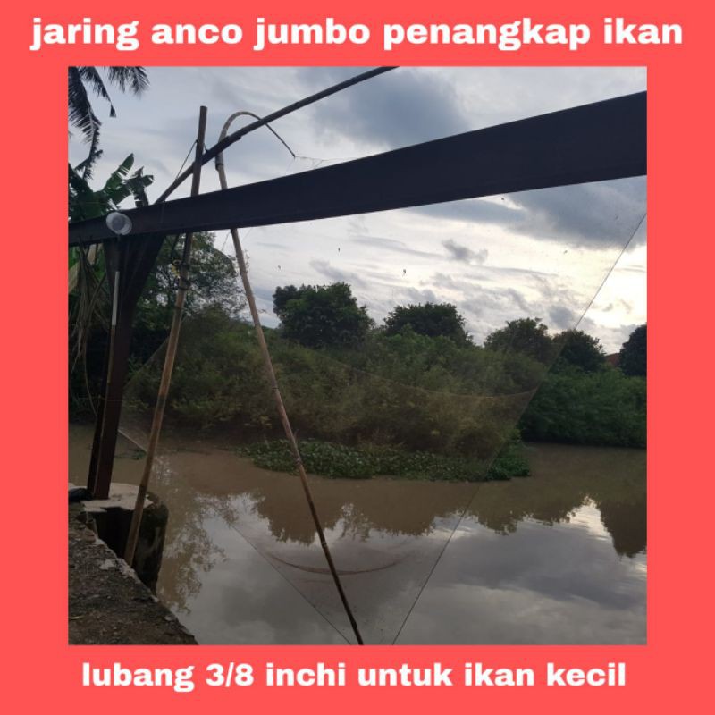 jaring anco jumbo jaring ikan tradisional