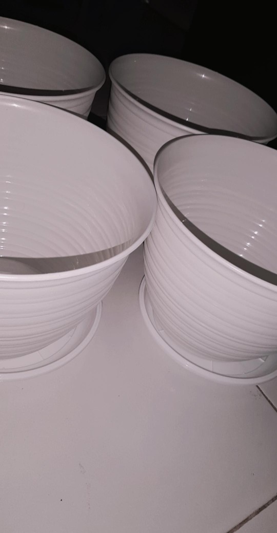 Pot Bunga Model Tawon Ukuran 21