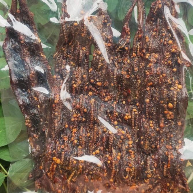

BI9 PROMO DENGDENG BELUT KETUMBAR 120 GR (N@