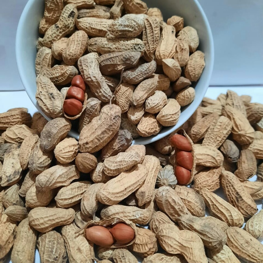

SGS Kacang Tanah Kacang kulit sangrai 1 kg