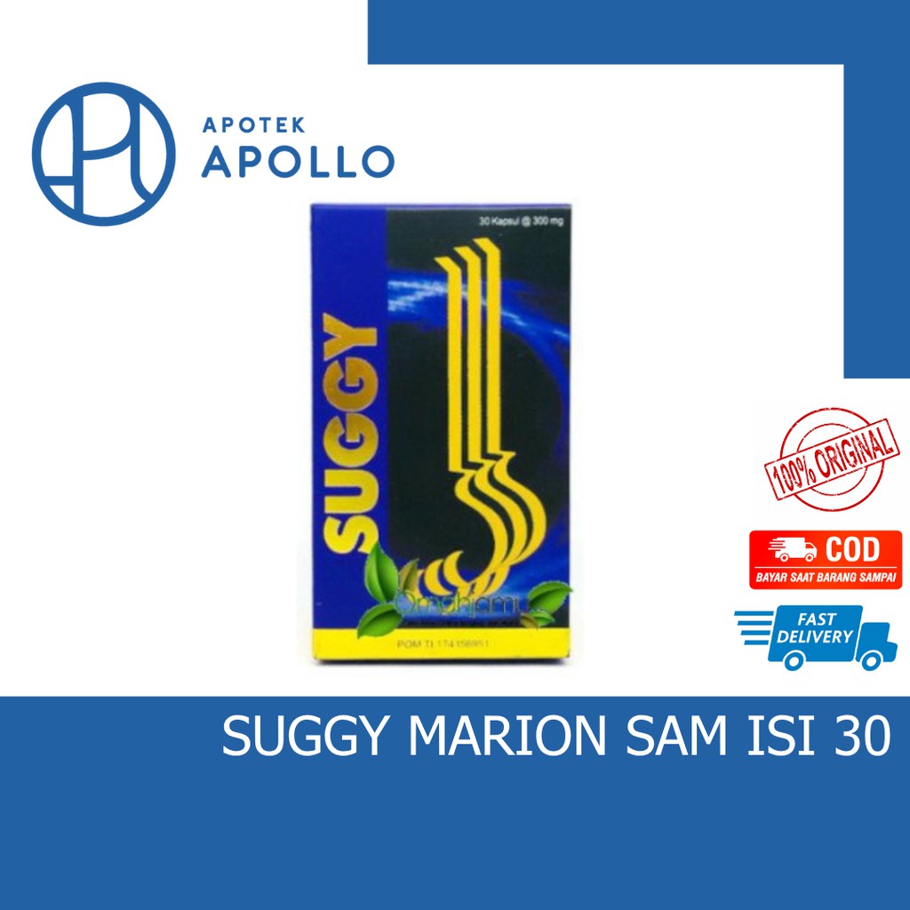 SUGGY MARION SAM OBAT HERBAL DIABETES GULA KENCING MANIS