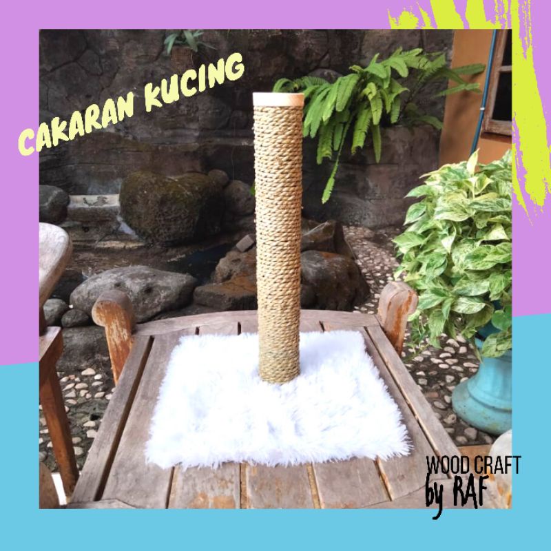 cakaran kucing / garukan kucing putih bulu