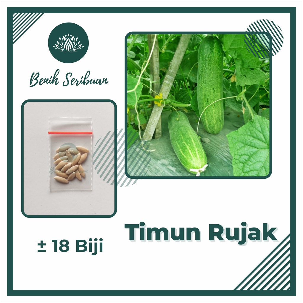 BS-BYL Bibit Sayuran Benih Sayur Buah Hibrida Unggul Buncis Cabe Rawit Bawang Jagung Kacang Lobak Pare Oyong Timun Terong Tomat Wortel dll-TIMUN RUJAK