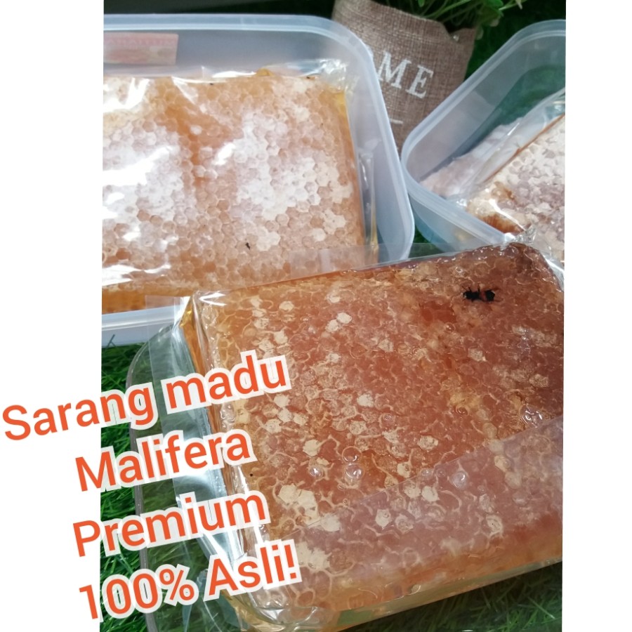 

Sarang Madu Malifera Premium 100% asli