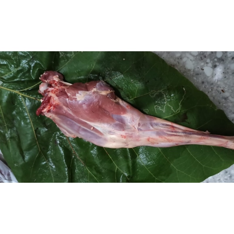 Paha Daging Kambing Domba bone in | Frozen fod cibinong