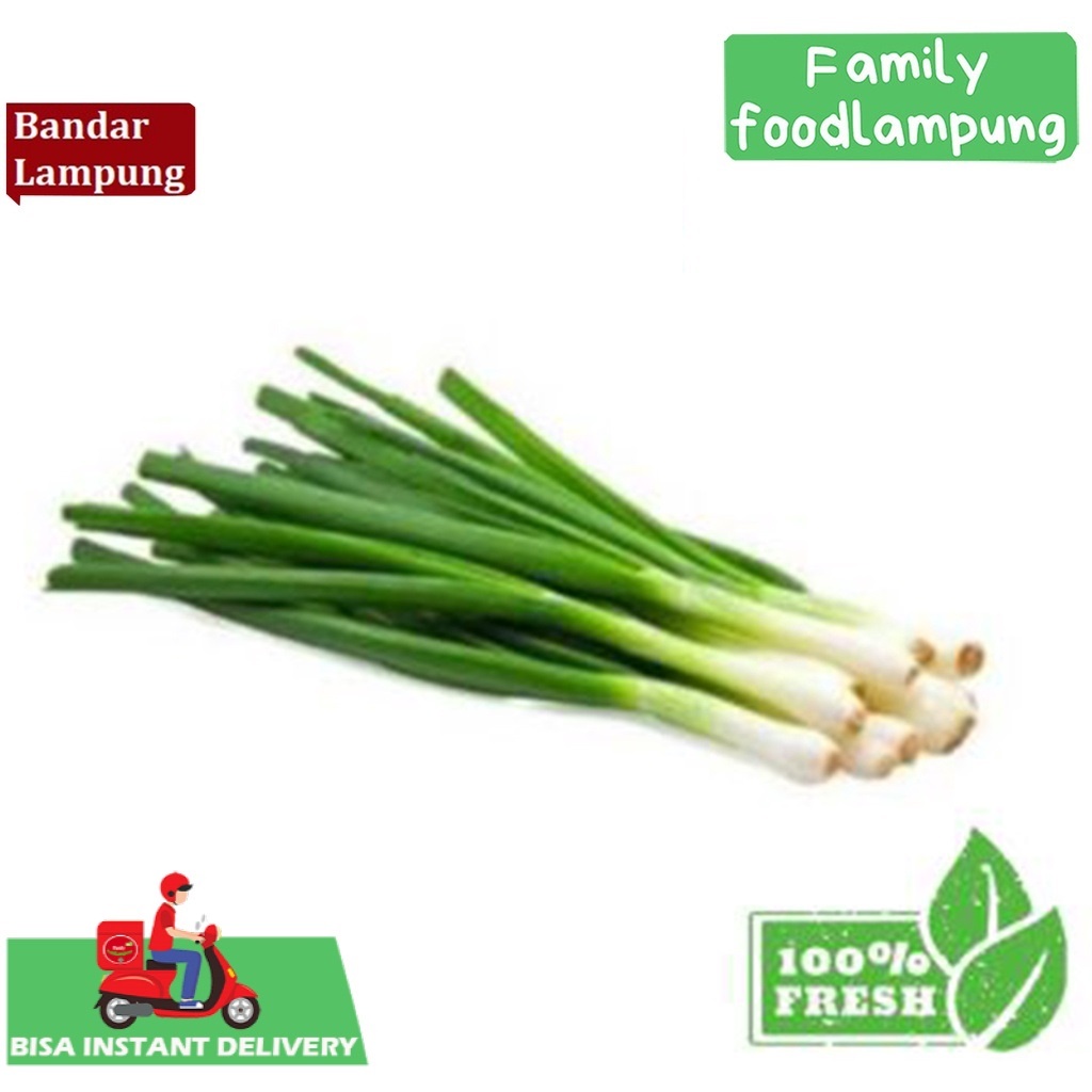 

Family Food Lampung Daun Bawang Besar 250gr *Bisa Instant Delivery*