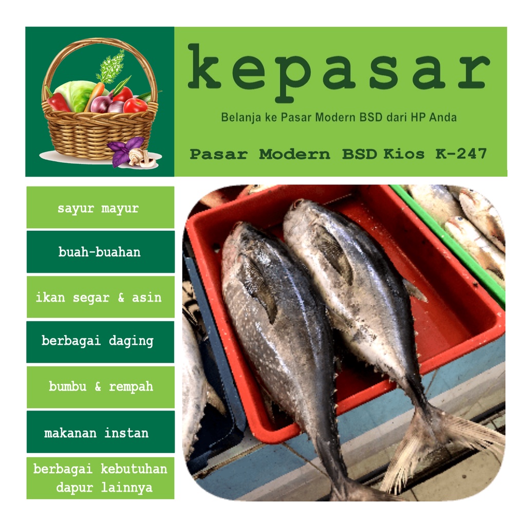 

Ikan Tongkol 500 g - Kepasar Pasar Online