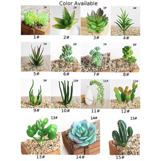 DJ Bunga Kaktus Echeveria Imitasi Bahan Plastik untuk DJ Bunga Kaktus Echeveria Imitasi Bahan Plastik untuk