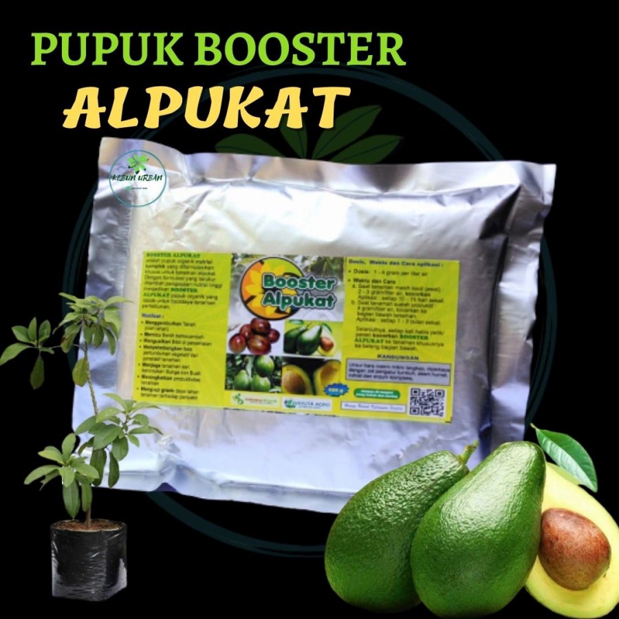 Pupuk Booster Alpukat untuk mempercepat berbuah