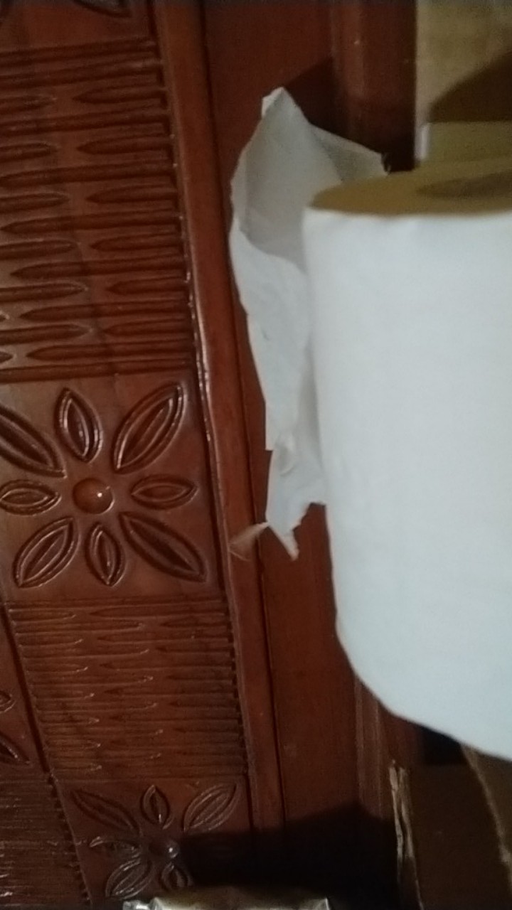 Nice Tissue Roll 238s
