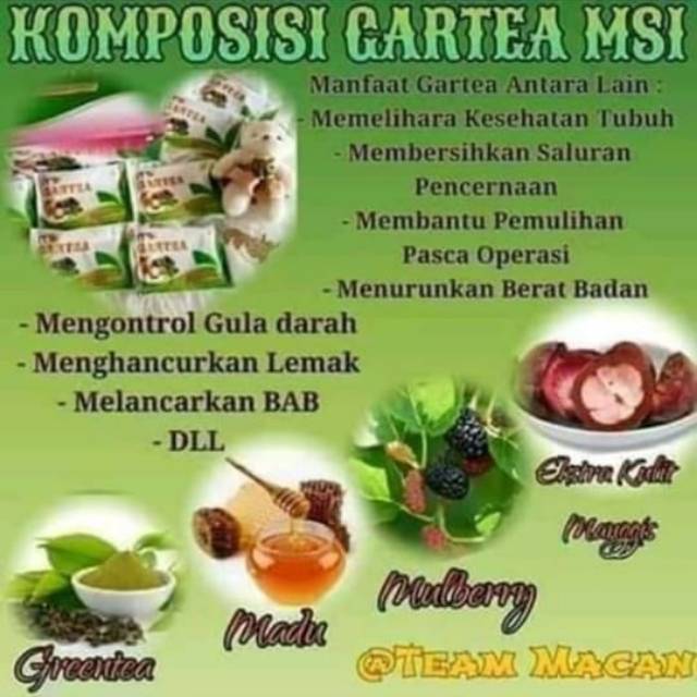 

GARTEA MSI