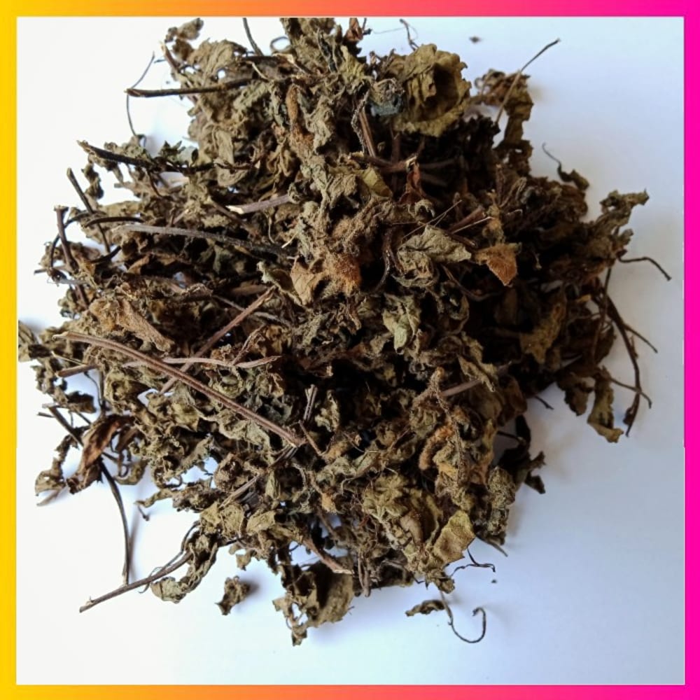 

nogo_shop [ 1kg ] Daun Cincau Hitam Superan ( Khusus Daun ) Export Quality