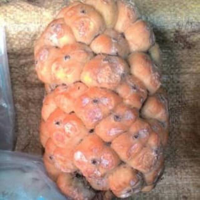 

Asam Cakala