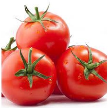 

tomat sayur