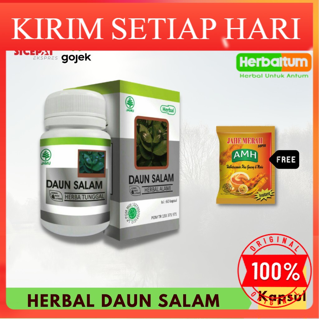 

ASLI Daun Salam - Herbal Tunggal GRATIS KONSULTASI