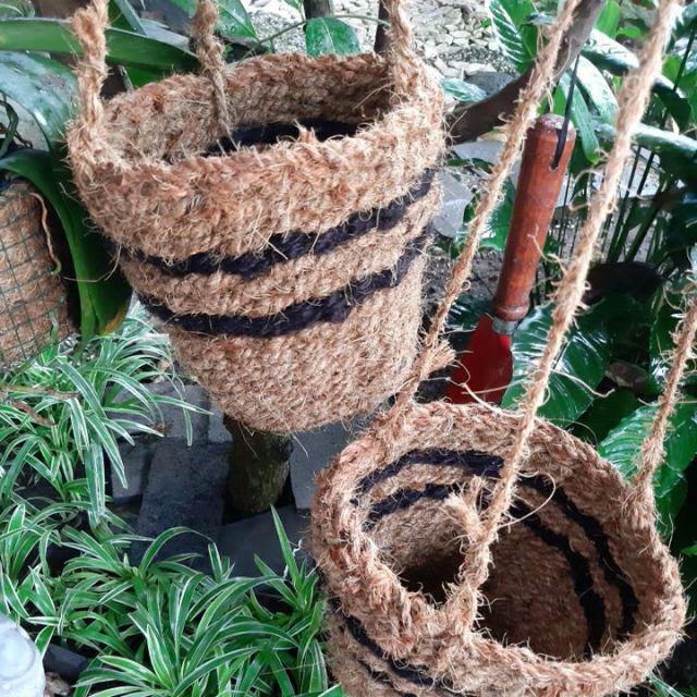 Pot Gantung Sabut Kelapa Untuk Anggrek Bulan, Dendrobium, Vanda Tanaman Hias