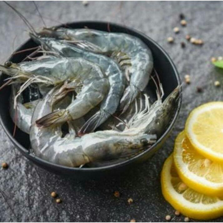 

Udang Segar 250gram Seafood Fresh Pasar Murah Jogja