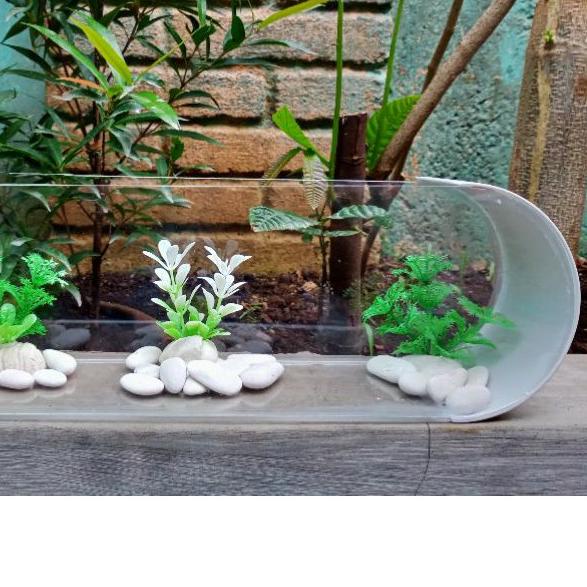 aquarium mini unik akrilik pvc oval cupang,gapi,neon,ikan hias