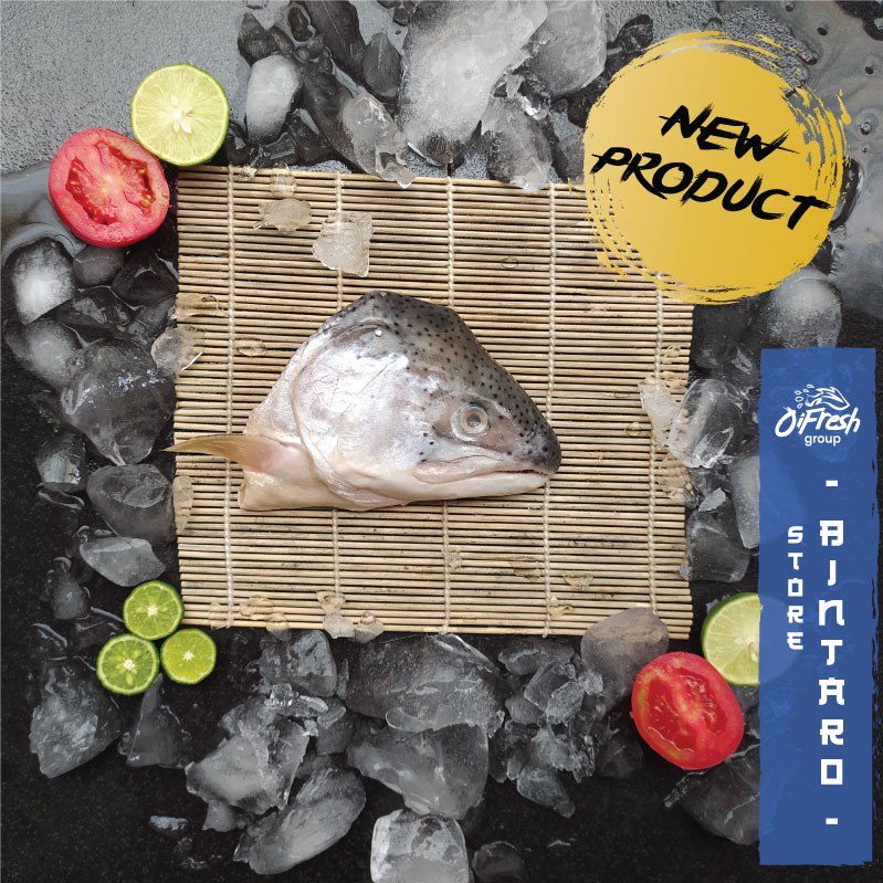 Ikan Salmon Bagian Kepala Utuh PREMIUM IMPORT Segar dan Bergaransi / Pack