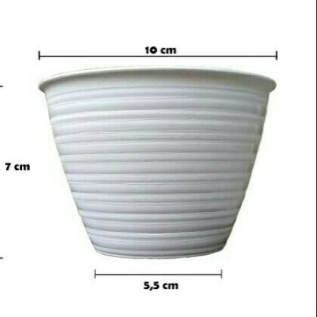 Pot tanaman dan bunga bentuk tawon uk 10 Shopee Indonesia Pot tanaman dan bunga bentuk tawon uk 10 Shopee Indonesia