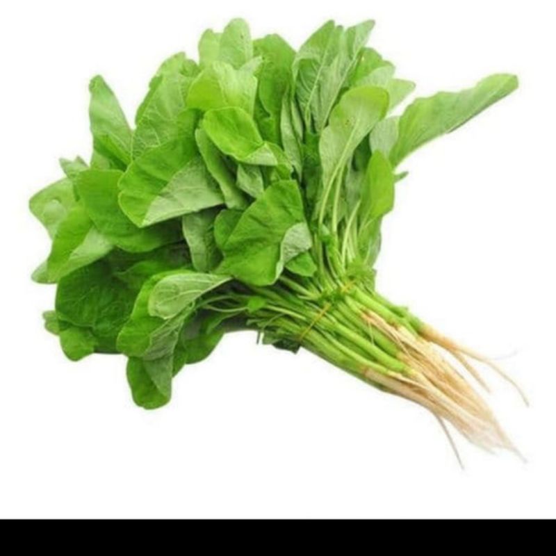 

BAYAM 1 Ikat / Sayur Segar