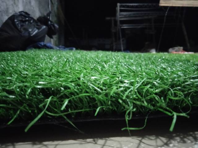 Rumput Sintetis Khusus Kandang Kucing  Shopee Indonesia