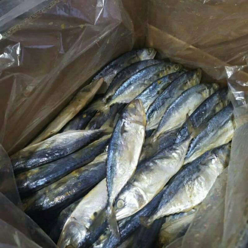

IKAN ASIN PEDO/PEDA FRES SEGAR LOKAL DEMAK 1KG