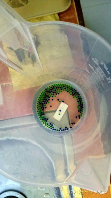 Media Tanam Hydrogel Pengganti Tanah Dan Cantik Untuk Indoor