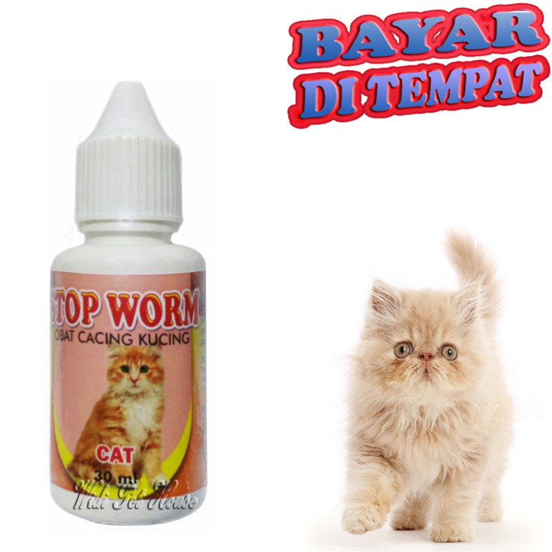 Obat Cacing Kucing Kurus STOP WORM Sakit Cacingan