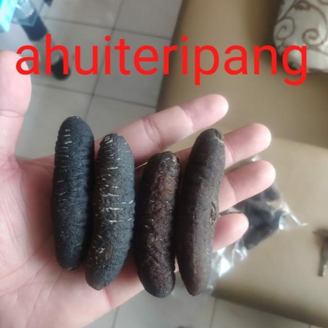 

[COD] haisom teripang belitung 250gr [COD]