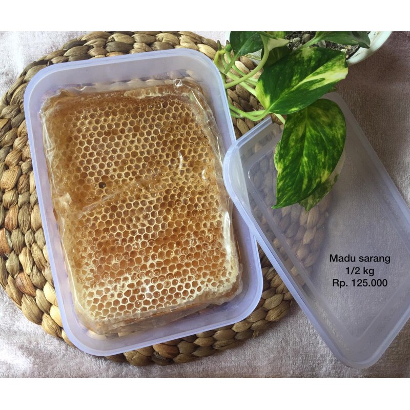 

MADU SARANG ASLI 1/2 kg