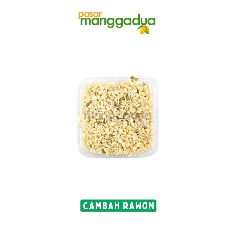 

FRESH !!! Cambah Rawon / Toge Pendek 250 Gram / Sayur Segar