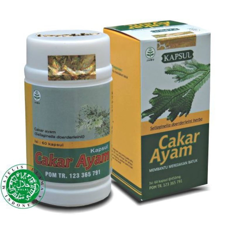 

Obat Batuk Berdahak / Herbal Cakar Ayam / kemasan kapsul isi 60 extra