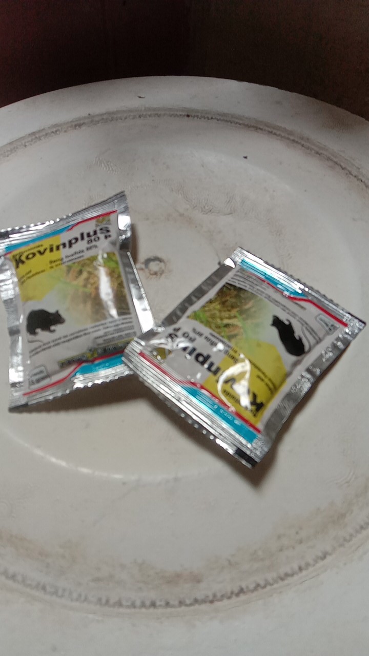 Racun Tikus Ampuh Kovin Plus 15 Gram