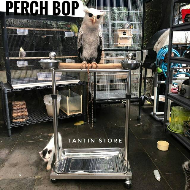 103 Gambar Hantu Falk HD Terbaru