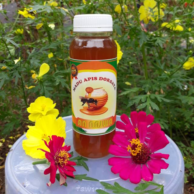 

madu dorsata 250 ml 100% asli