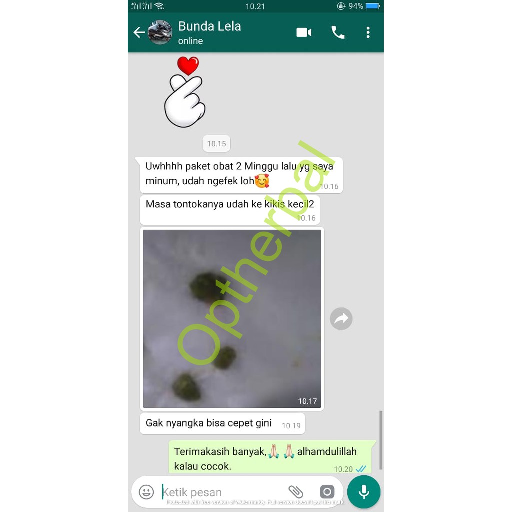 Obat Herbal Khusus Batu Ginjal Dan Batu Empedu-6