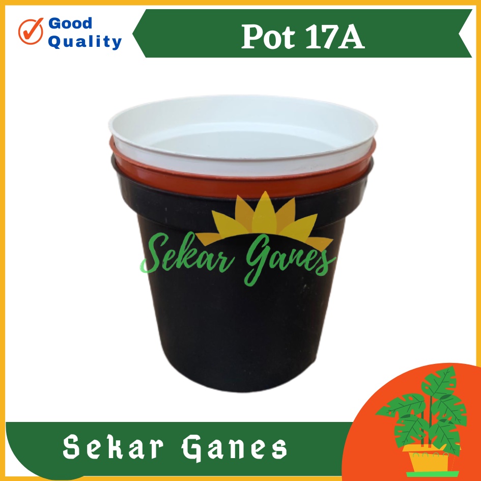 PROMO Pot Bunga Polos 17 A Model Tinggi Bahan Tebal Mengkilap Warna Hitam Putih Merah Bata