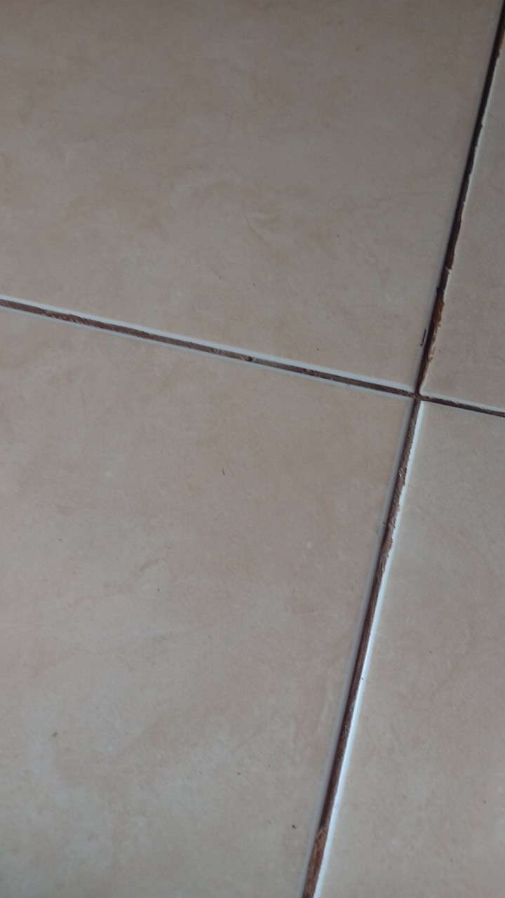 Panci Mie Air Rebus Alumunium / Panci Susu +tutup Global Eagle 18 Cm