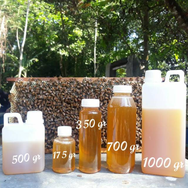 

Madu Asli Lebah Multiflora