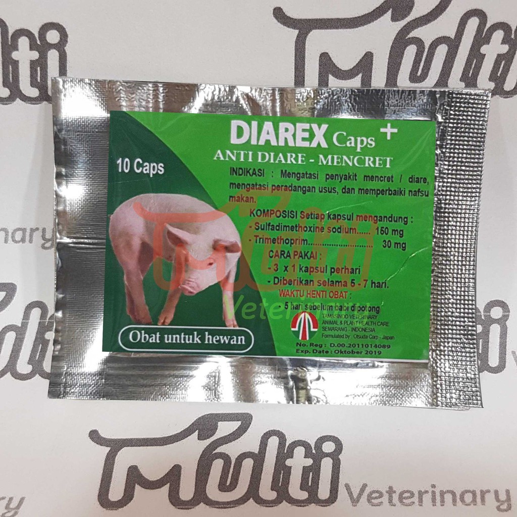 

DIAREX caps 10 Kapsul Capsul Obat Anti Diare Mencret Babi Antibiotik