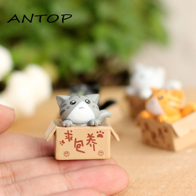 Miniatur Kucing Dalam Kotak Untuk Dekorasi Pernikahan